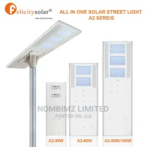 100W Integrated Solar LED Street Light