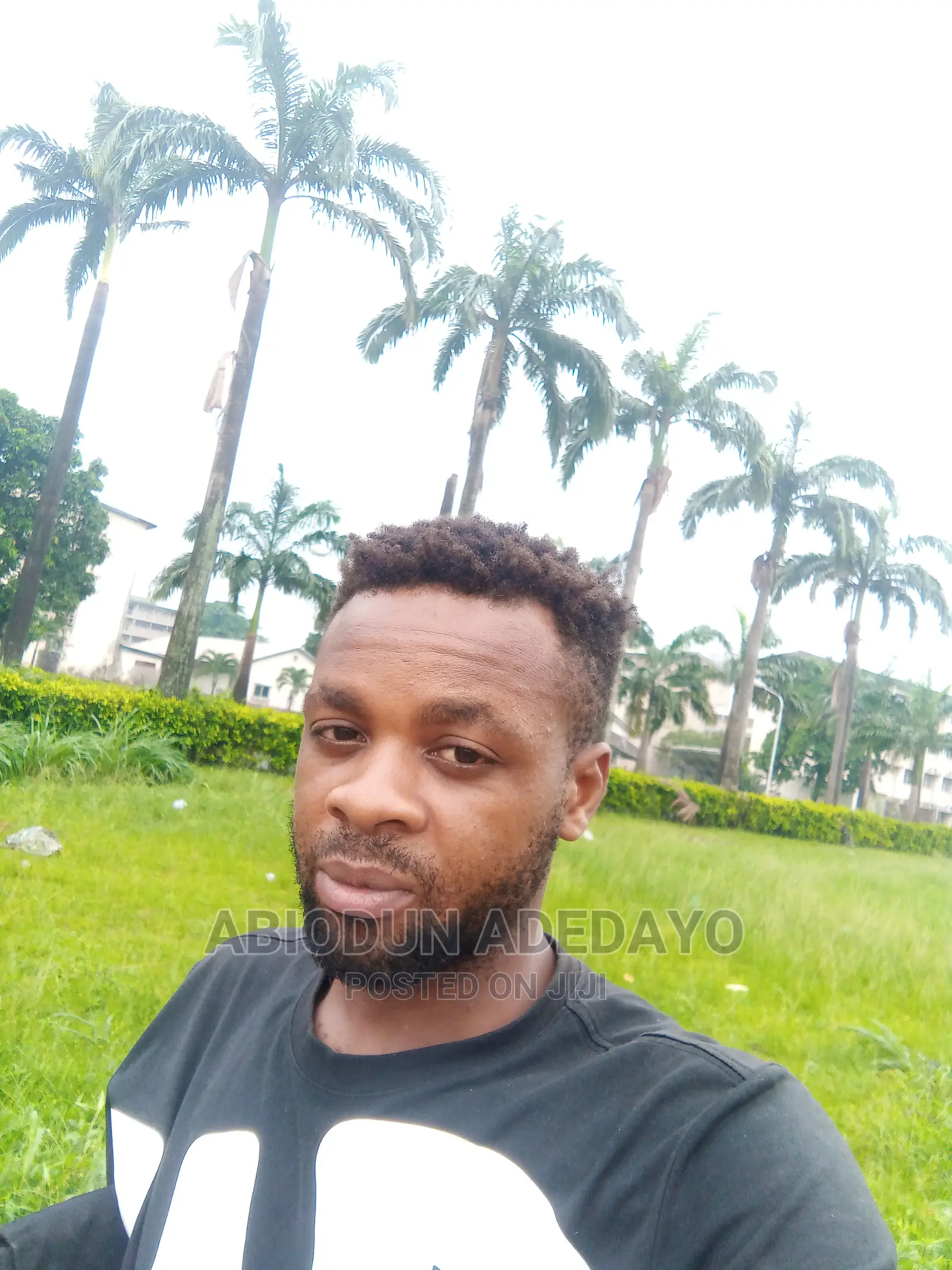 Adedayo CV
