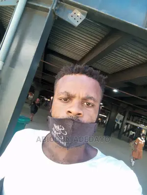 Adedayo CV