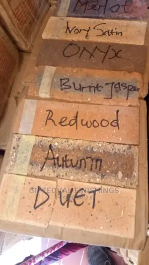Original South African Bricks