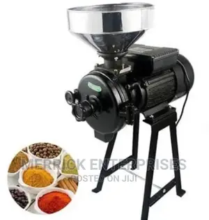 Wet And Dry Grinder