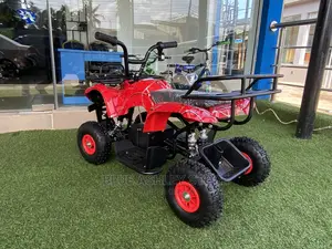ATV 24volt Ride-on Quad