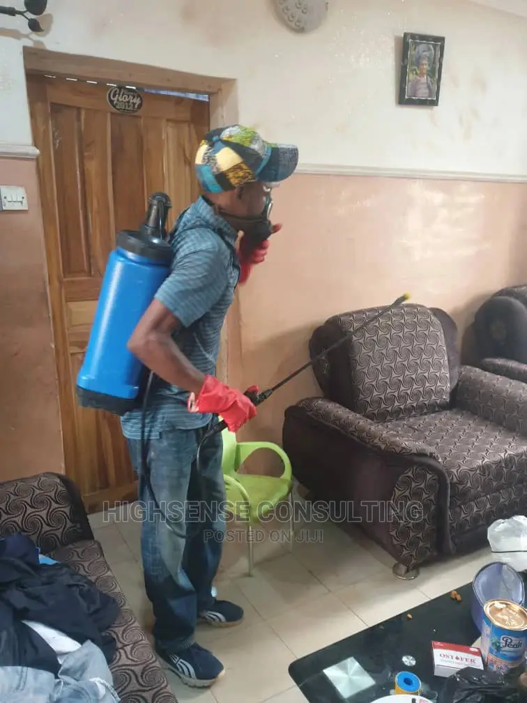 Home/Office Cleaning Plus a FREE Fumigation Service