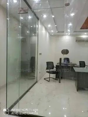 Frameless Tampered Glass Door