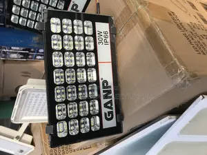 30w Ganp Flood Light