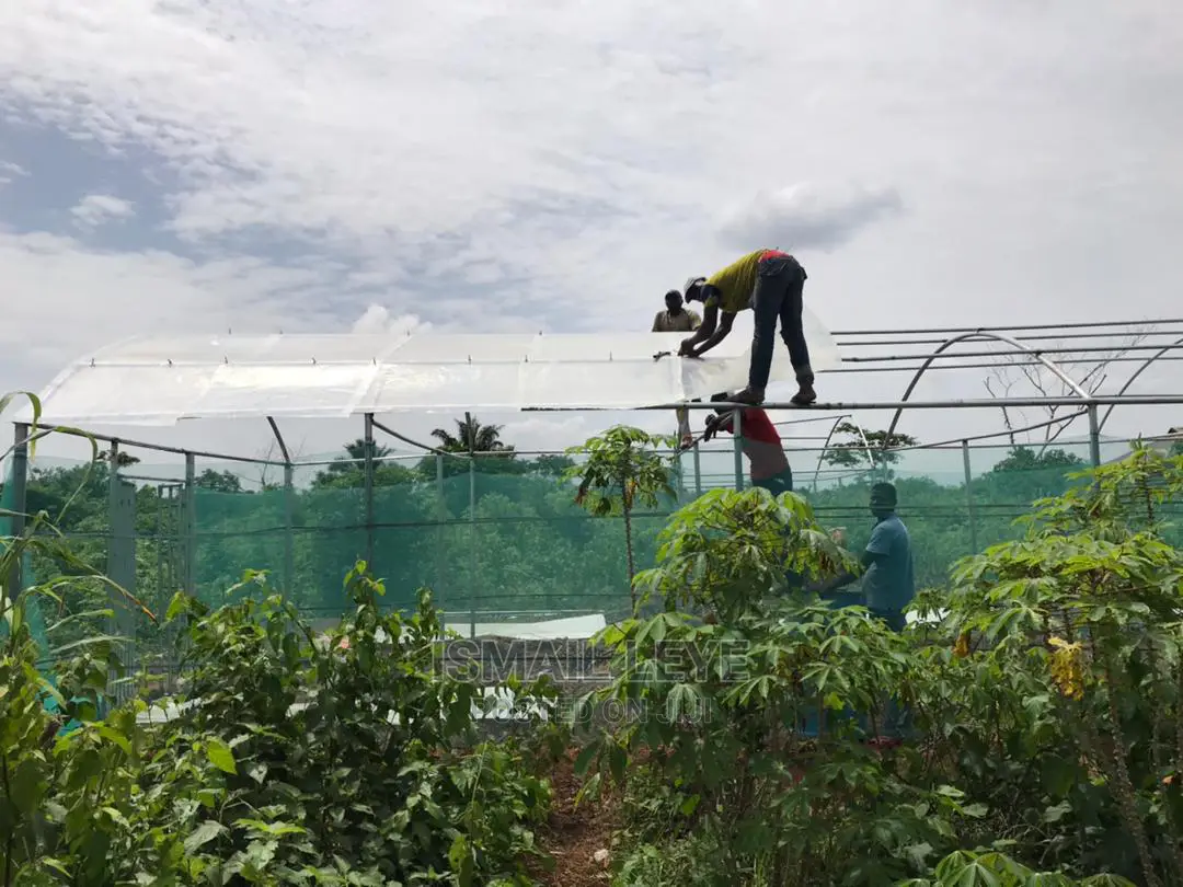 Green House