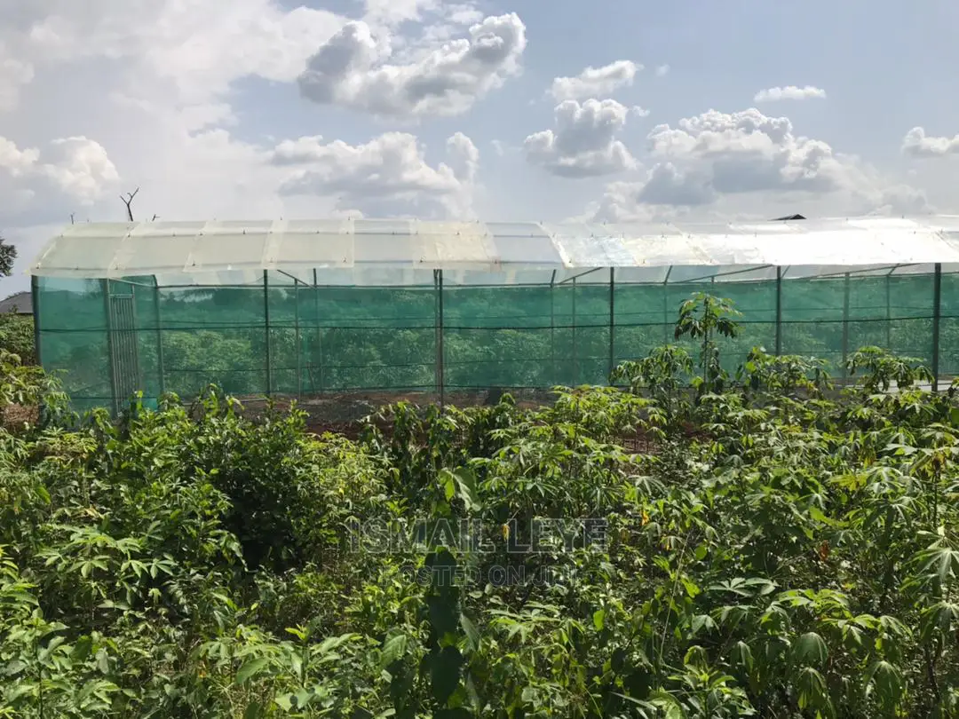 Green House