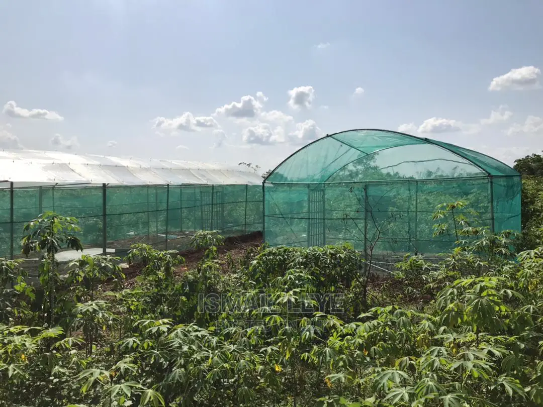 Green House