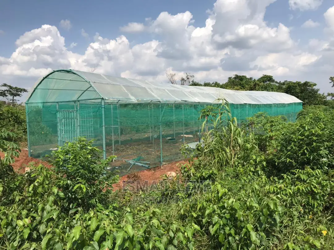 Green House
