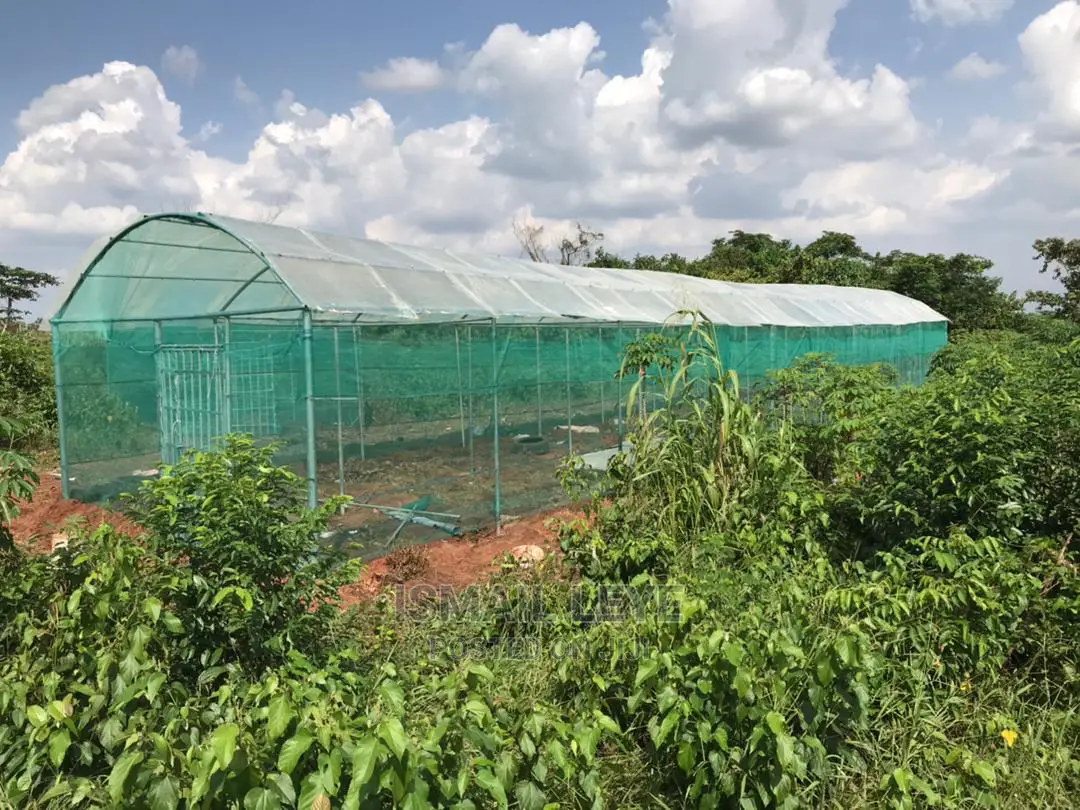 Green House
