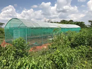 Green House