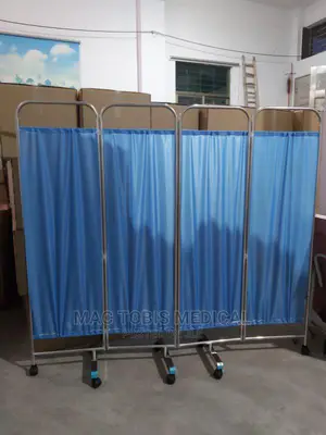 Ward Screen Available for Sale