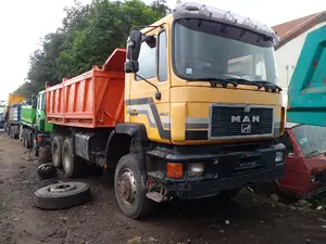 Photo - Man Diesel With Axillary Tipper