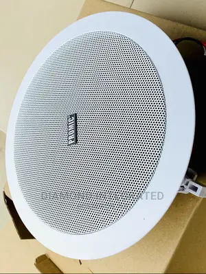 Promic 30 Watts Crossover Ceiling Speaker