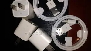 Original Apple iPhone Charger