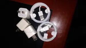 Original Apple iPhone Charger