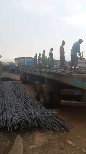 Supply Building Materials Iron Rods BRC Chainlink