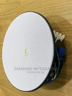 20 Watts Frameless Subwoofer Ceiling Speaker