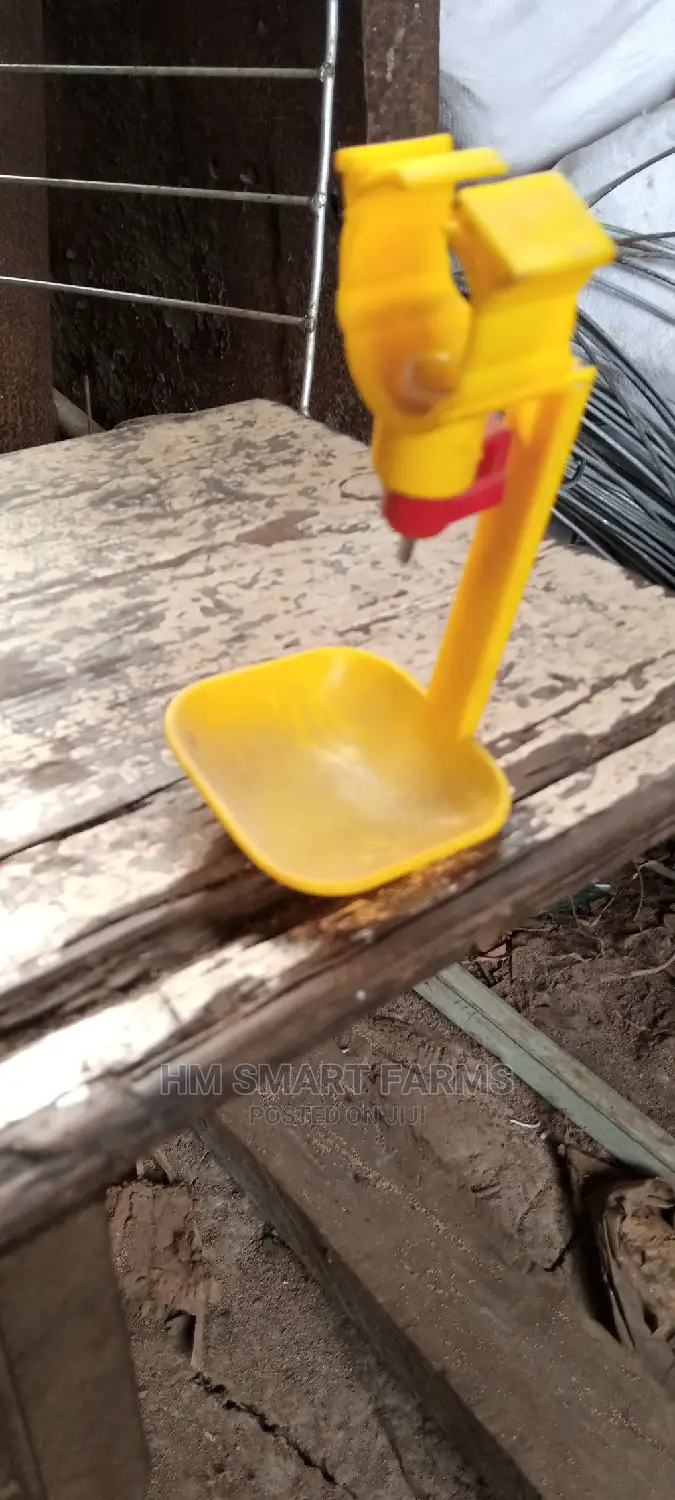 Nipples For Poultry Cage