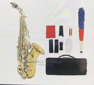 The Best Quality Gold Alto Saxophone