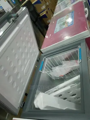 NX-160 Chest Freezer