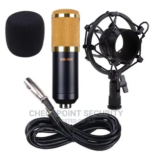 Professional Condenser Microphone