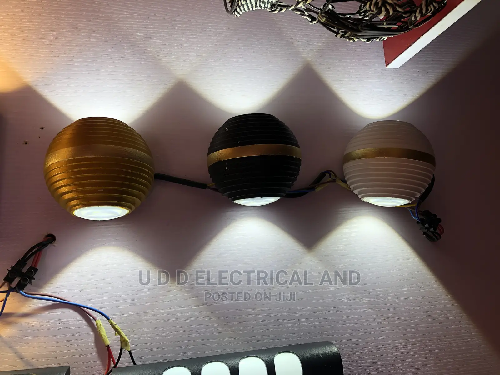 LED Outside Light Vertebrates