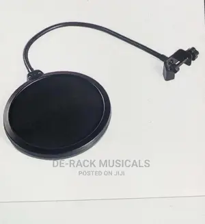 The Best Professional Pop Filter For Studio