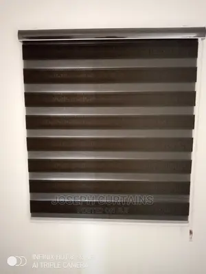 Day Light Window Blind