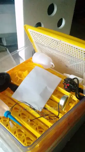 128 Eggs Incubator