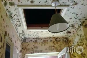 Best Damp Control, Ground Water And Basement Moulding