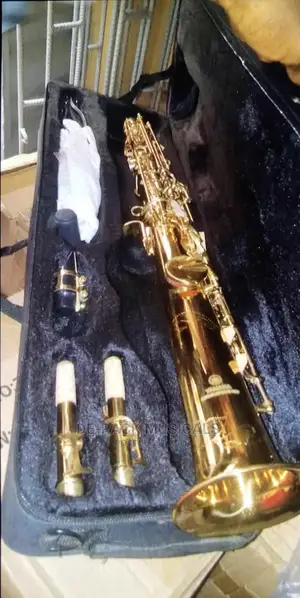The Best Professional Soprano Saxophone