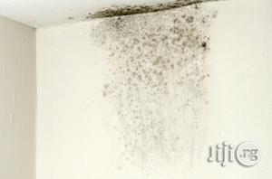 Best Damp Control, Ground Water And Basement Moulding
