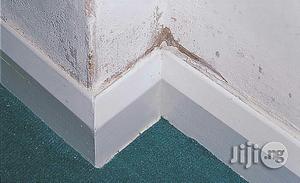 Best Damp Control, Ground Water And Basement Moulding