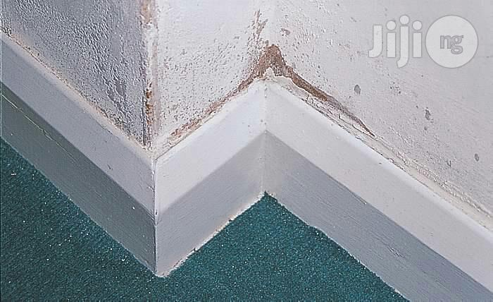Best Damp Control, Ground Water And Basement Moulding