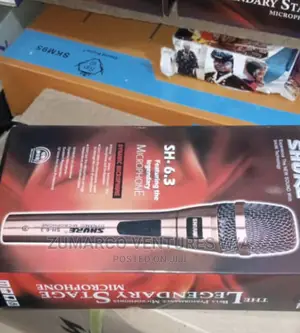 Pro Wireless Professional Dynamic Mic