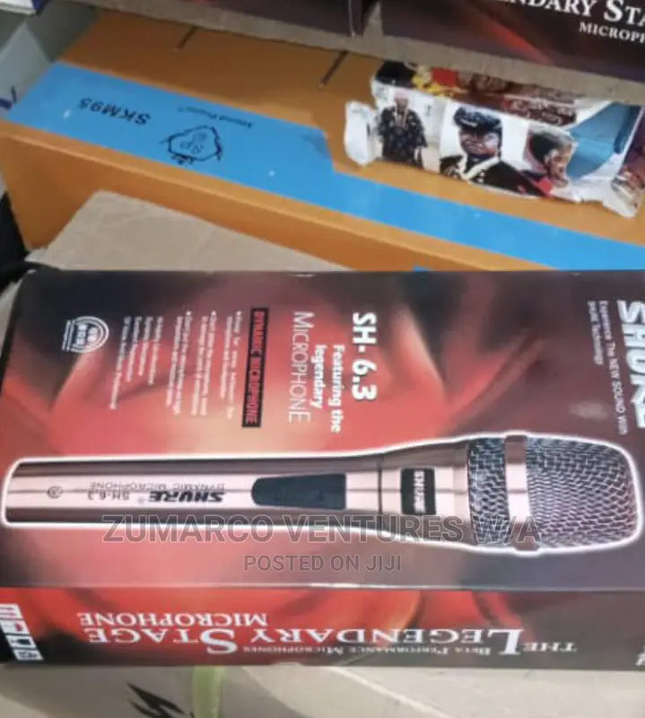 Pro Wireless Professional Dynamic Mic