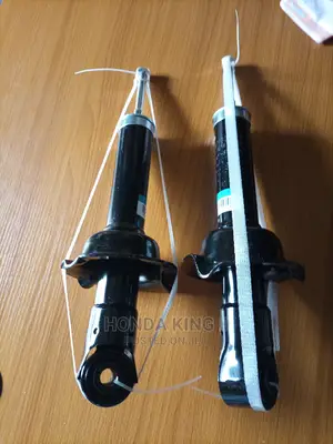 Back Shock Absorber 07/010 CR-V