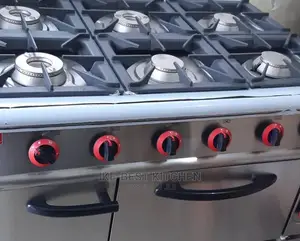 Industrial Cooker With Oven