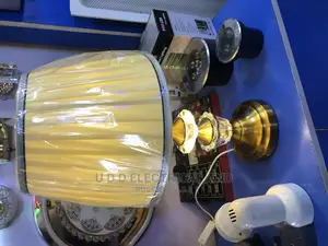 Led and Bulb Bedside Lamp