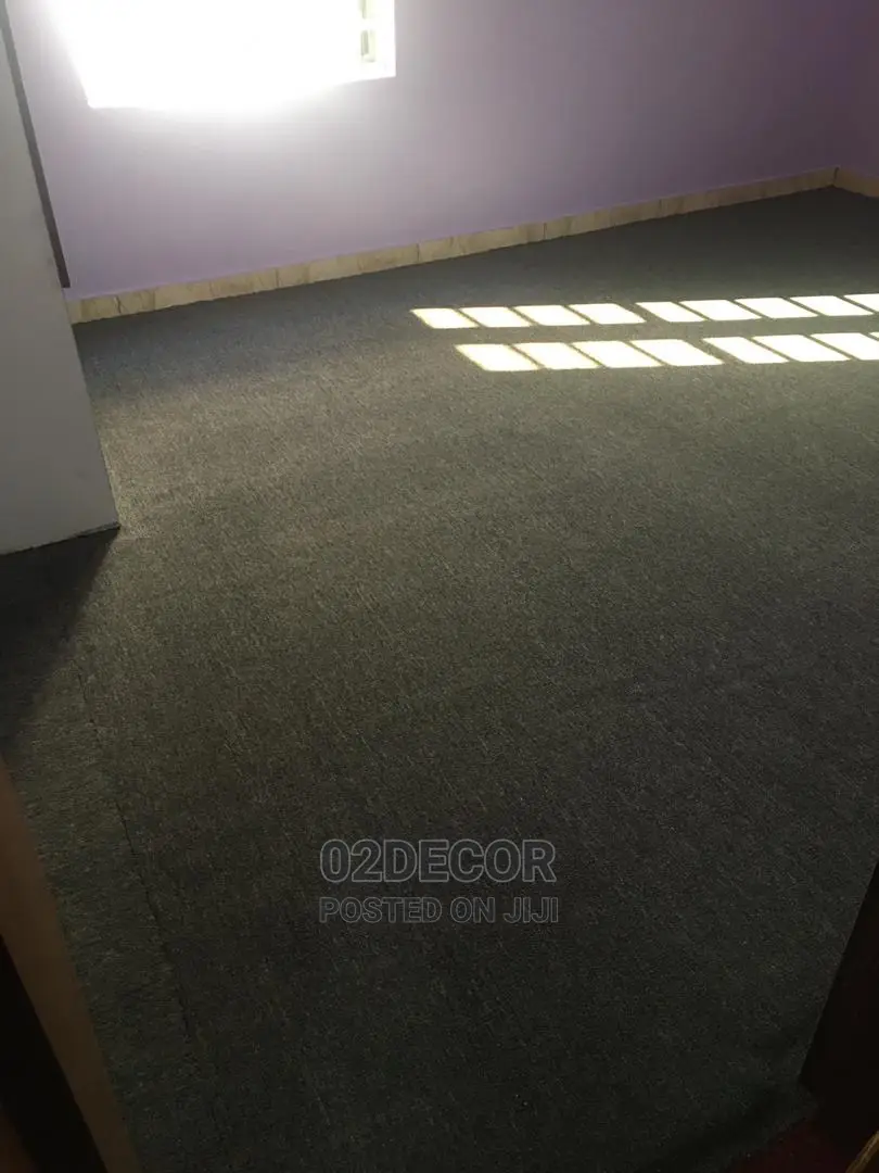 Plain Grey/Ash Color Rugs For Rough Spaces