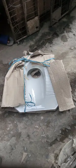 Squatting Basin