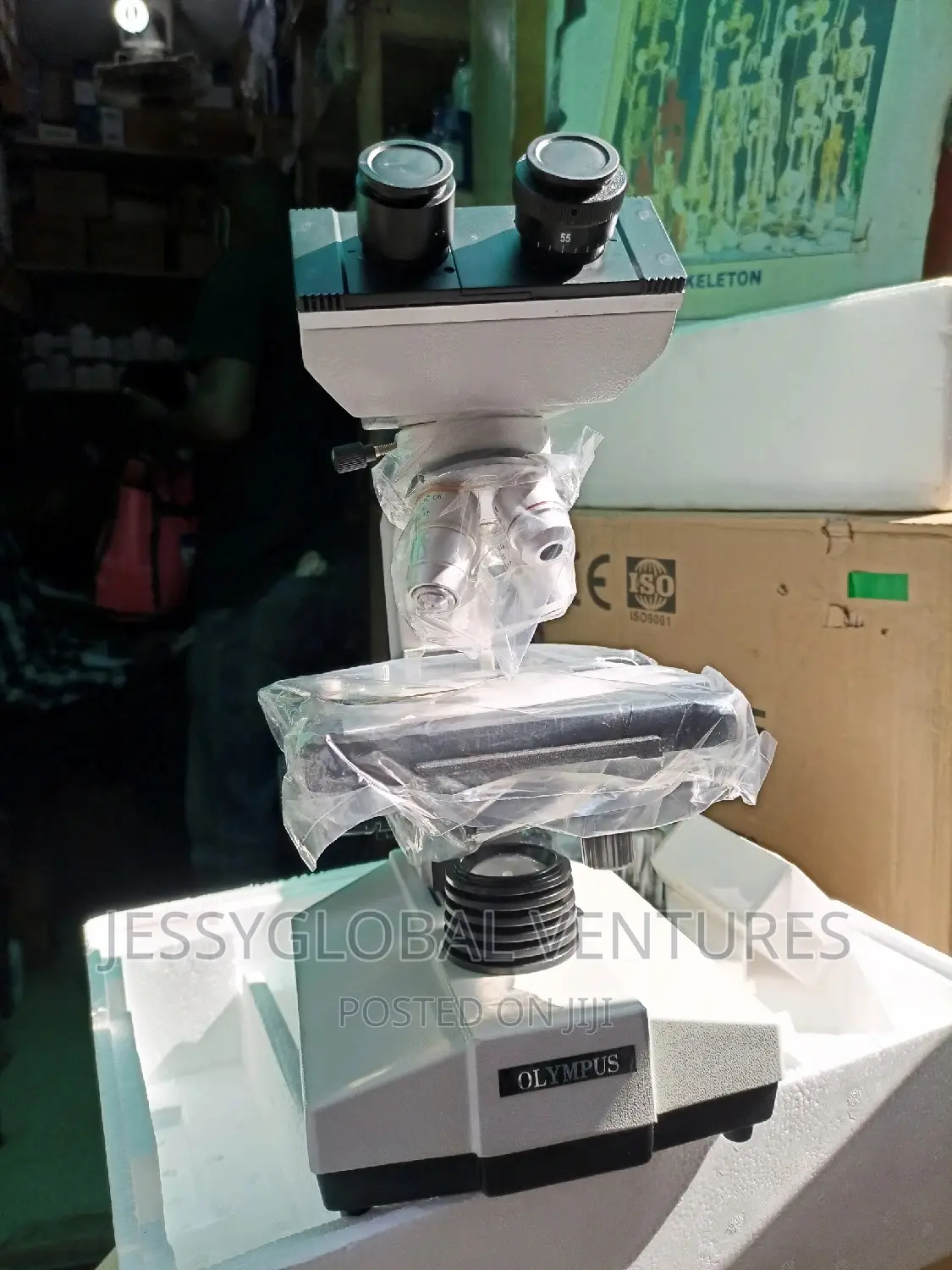 Binocular Macroscope