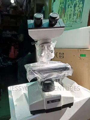 Binocular Macroscope