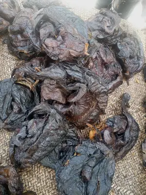 Maiduguri Ebi Ebi Dry Fish