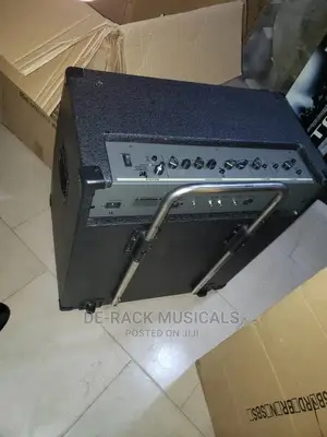 The Best Professional Guitar Combo Bass 18 Inches