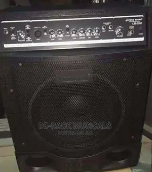 The Best Professional Guitar Combo Bass 18 Inches