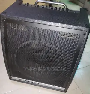 The Best Professional Bass Guitar Combo 15 Inches.