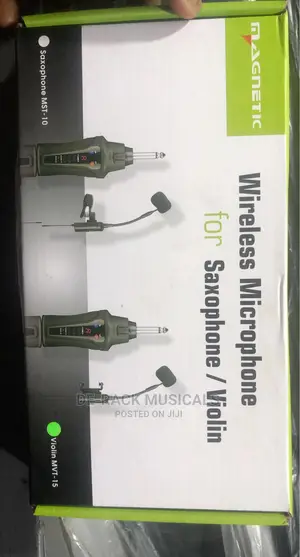 The Best Professional Saxophone Microphone 