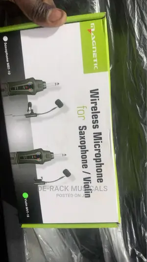 The Best Professional Violin Microphone